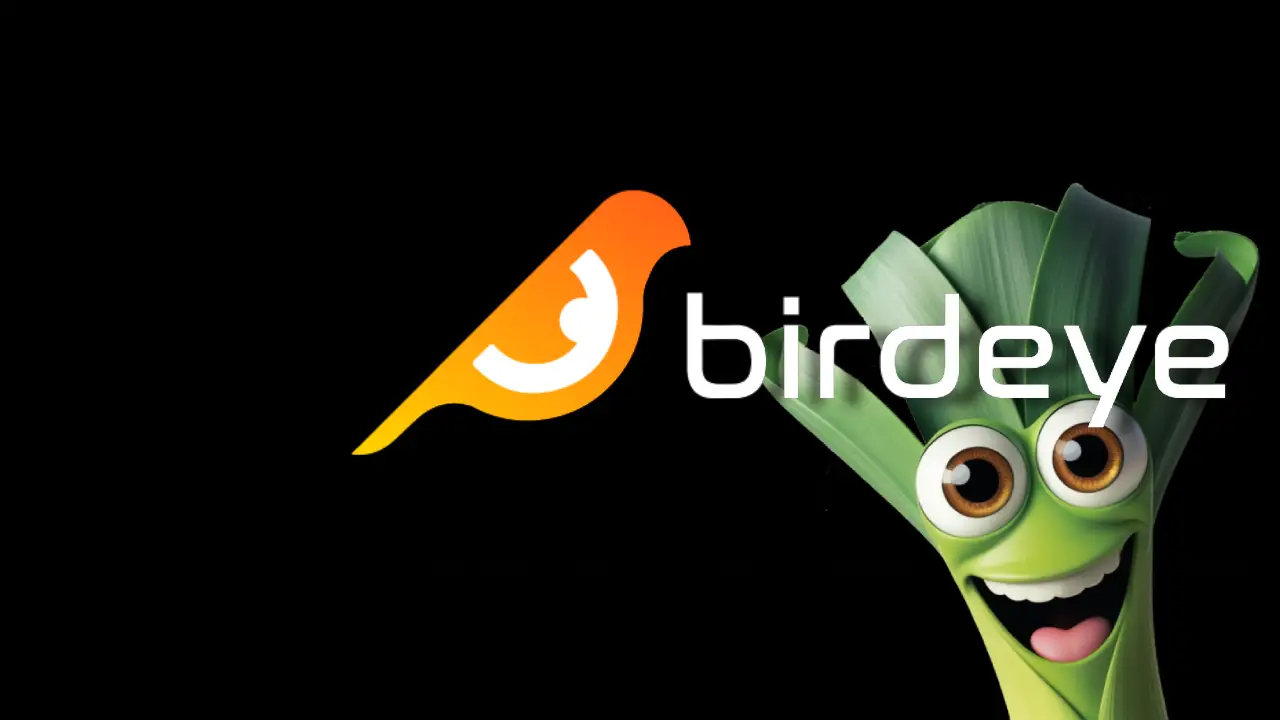 LEEK on Birdeye